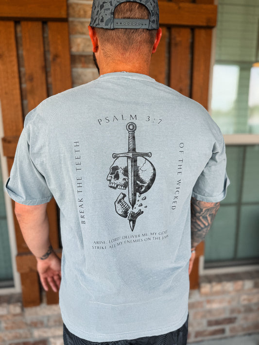 Break The Teeth Of The Wicked Graphic Tee